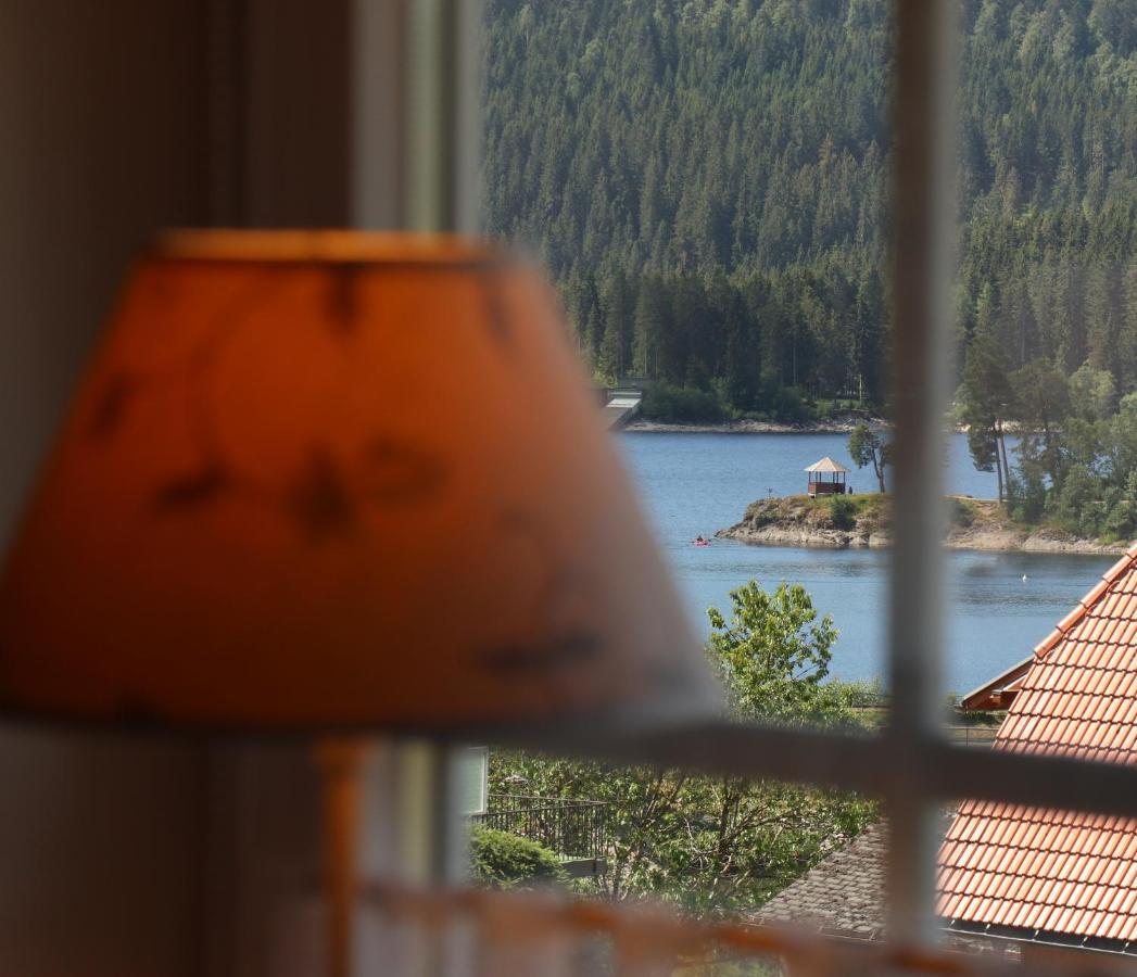 Landhaus-Vintage Fe-Wo-Apartment 5 Schluchsee Esterno foto
